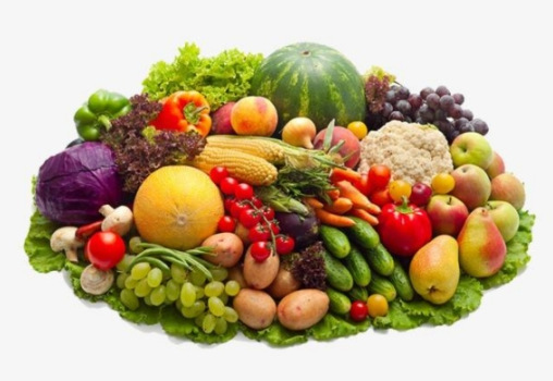 垃圾分類后，濕垃圾怎么處理好?